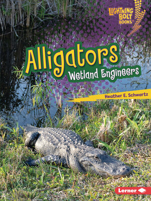 cover image of Alligators